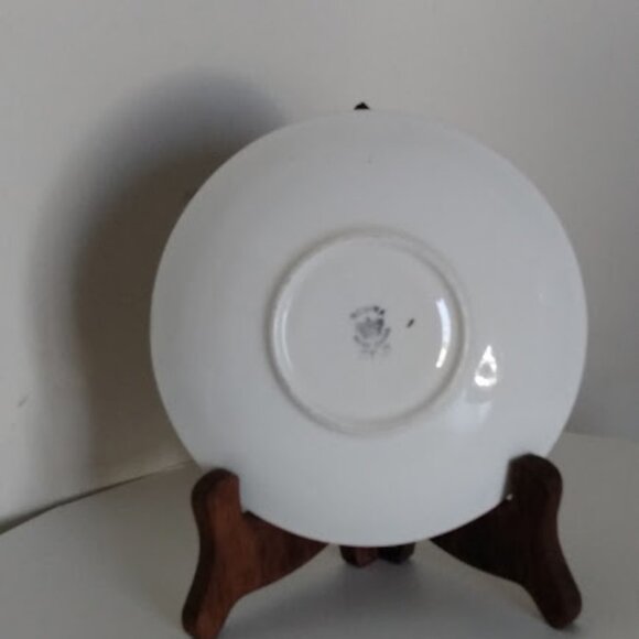 Rosina Tea Cup and Saucer Bone China Made in England - Picture 7 of 12